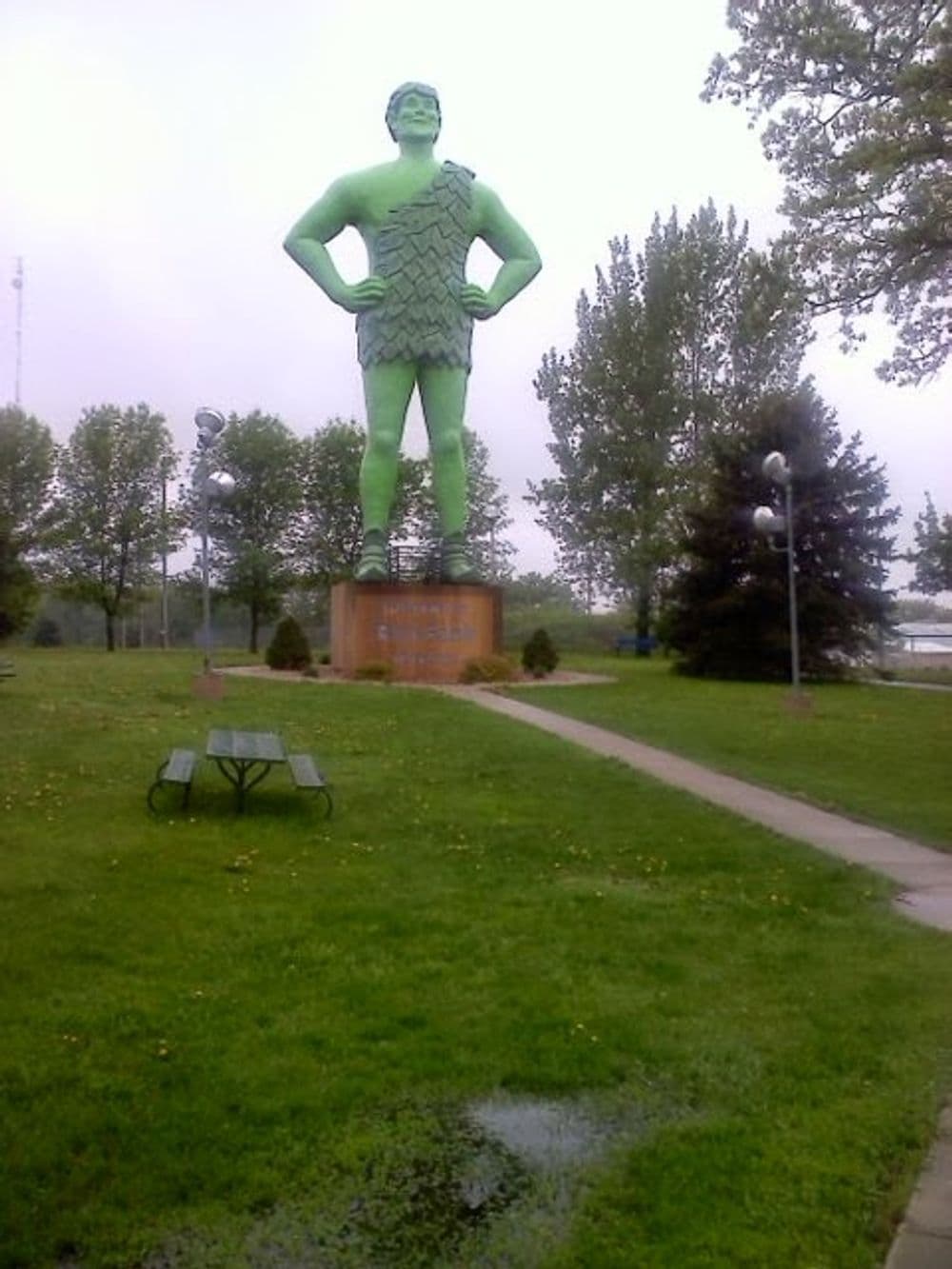 Hero image